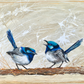 *SOLD* Hope - Blue Wren's Song (Australian Native Male Superb Blue Wrens, acrylic on canvas - Size: 41cm x 51cm