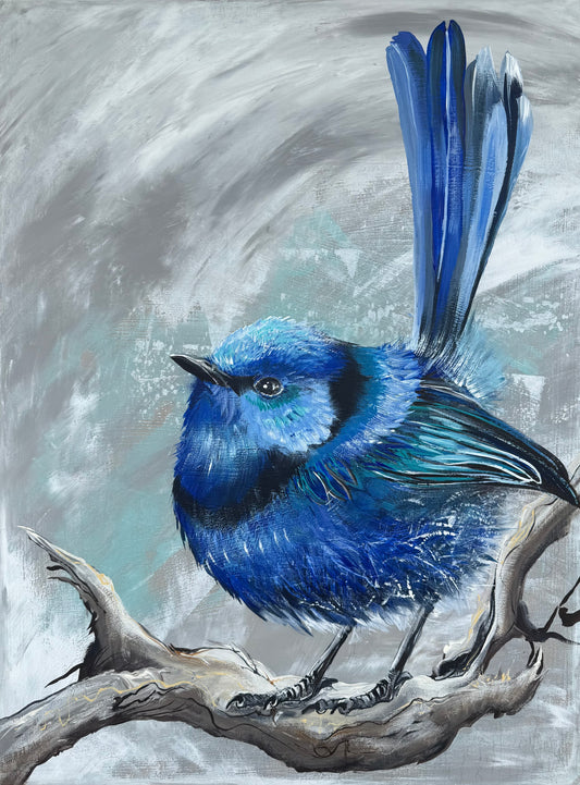 SOLD - Framed "A Splendid Chap", the male Native Splendid Fairy Wren