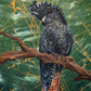 SOLD - Australian Native Red-Tailed female Black Cockatoo. Acrylic on canvas. Size 50cm x 120cm