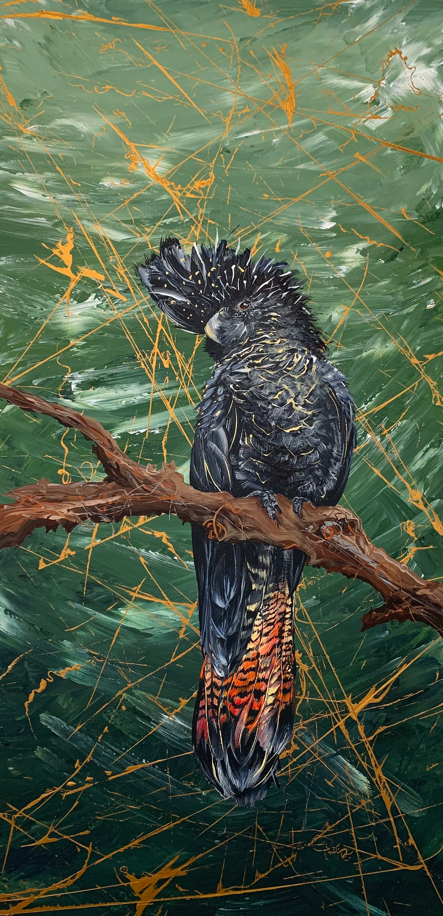 SOLD - Australian Native Red-Tailed female Black Cockatoo. Acrylic on canvas. Size 50cm x 120cm