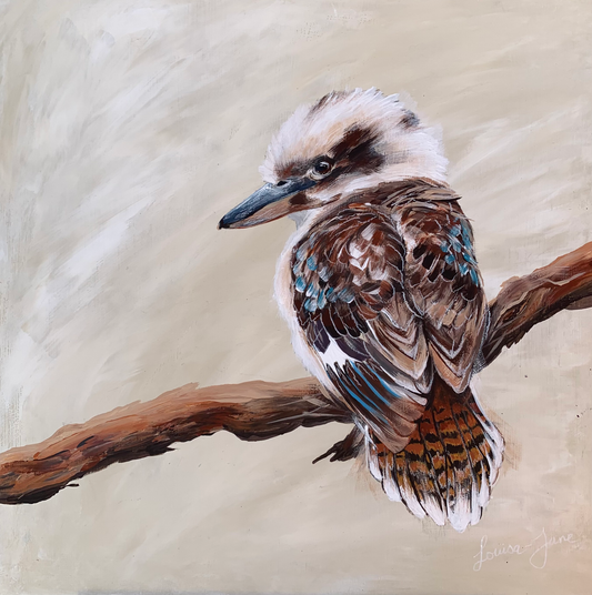 Baby Kookaburra on Branch, acrylic on board. Size: square 41cm x 41cm