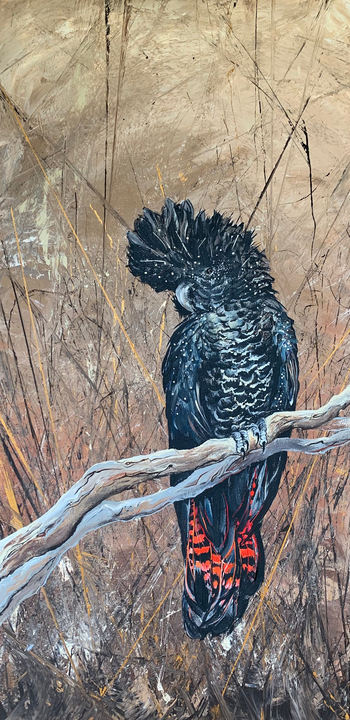 *SOLD* Female Red-Tailed Black Cockatoo with Earth Background, acrylic on canvas.