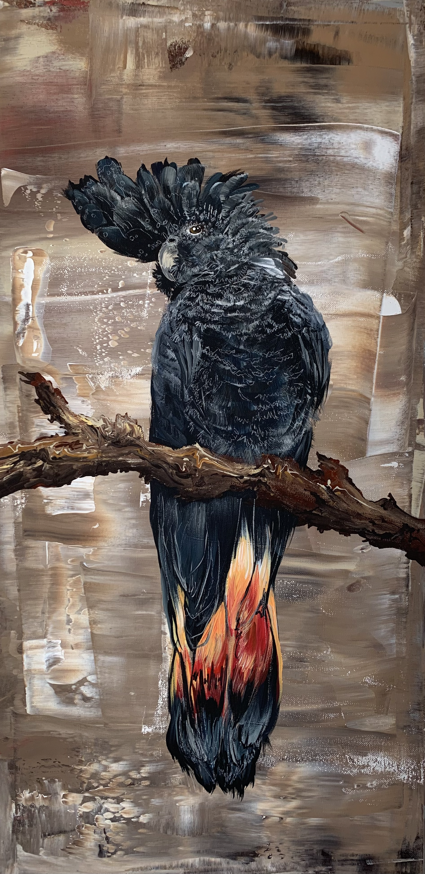 SOLD Female Red-Tailed Black Cockatoo, acrylic on canvas.