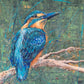 *SOLD* Little Azure Kingfisher, acrylic on canvas. Size 77cm x 61cm