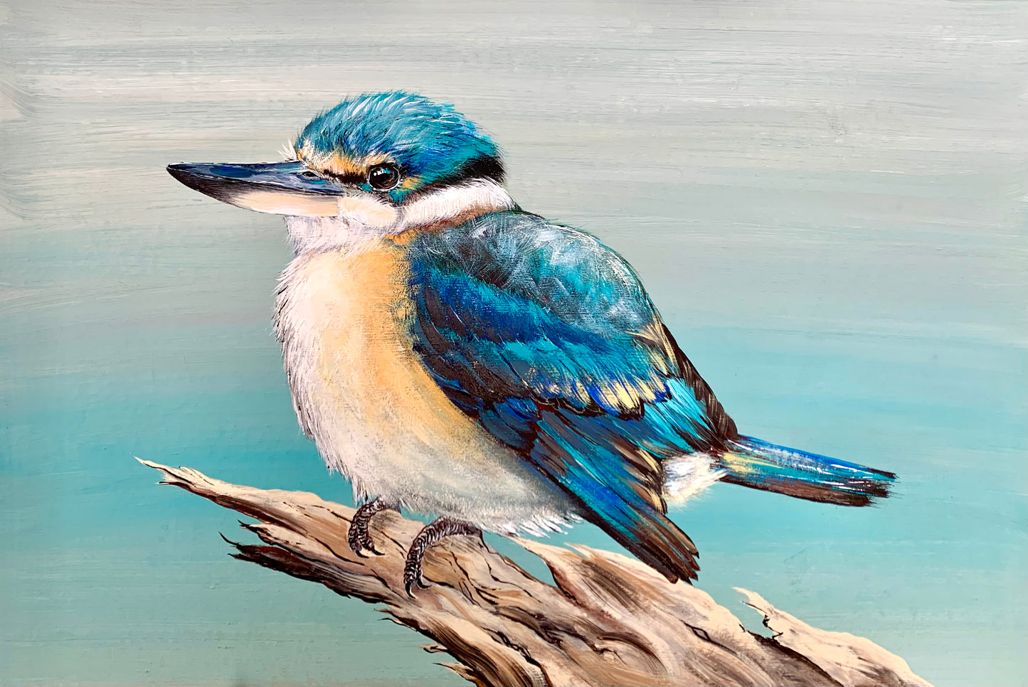 SOLD “The Sacred Kingfisher” Native to Australia