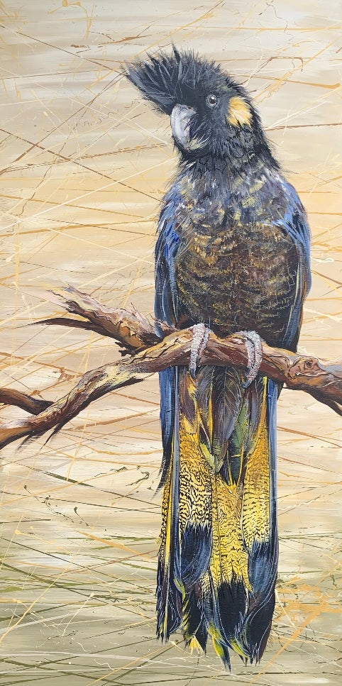 SOLD “The Female Yellow-Tailed Black Cockatoo”