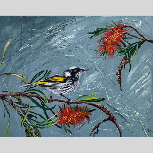 SOLD Native New Holland Honeyeater with Bottle Brush, acrylic on canvas. SIZE: L 40.5cm x W 51cm