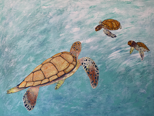 SOLD Joy (Loggerhead sea turtles, Ningaloo Reef WA)