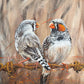 SOLD (Prints Available) - ORIGINAL ARTWORK "Lovebirds" - the courtship of the Zebra Finches, acrylic on canvas