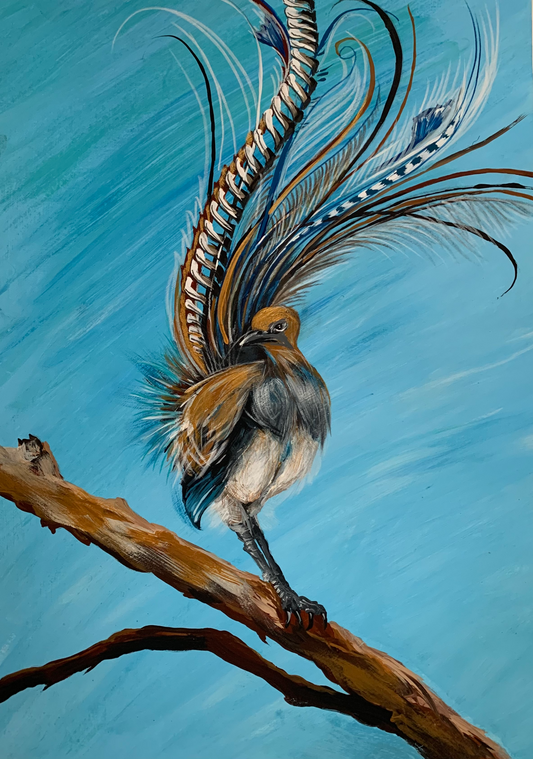 Lyre Bird on Branch, acrylic on art paper. Size: 42cm x 30cm (A3)