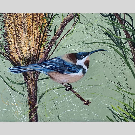 SOLD Native Eastern Spinebill with Wattle Flower - acrylic on canvas. Size: L 40.6cm x W 50.8cm x H 3.5cm