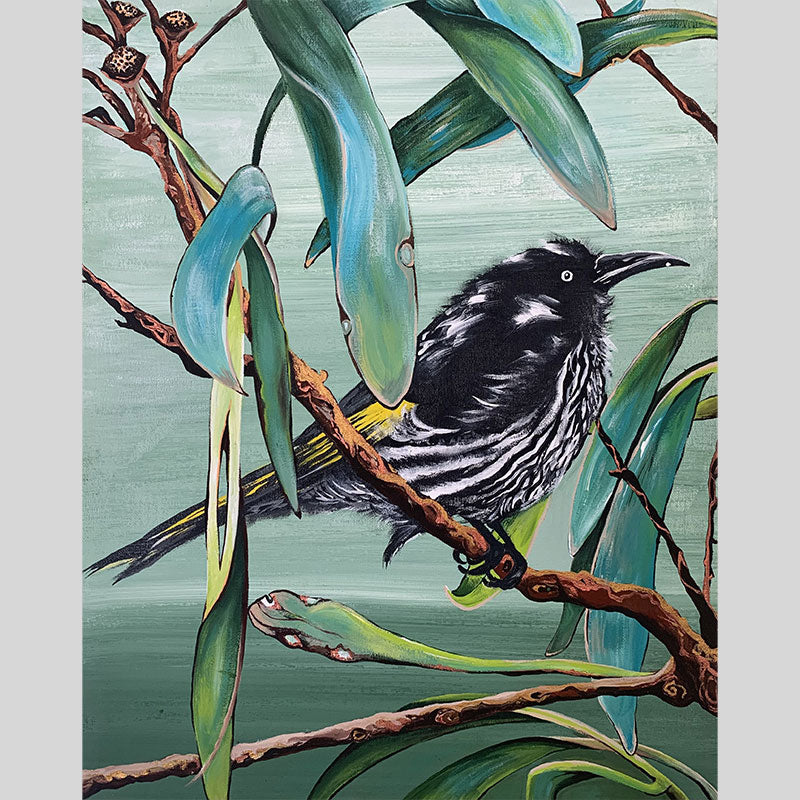 *SOLD* Native New Holland Honeyeater with Eucalyptus Leaves