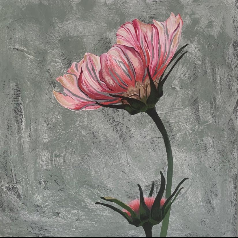 Pink, acrylic on canvas. Size: H 40.5cm x W 40.5cm x H 3.5cm