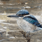 SOLD "The Sacred Kingfisher", acrylic on canvas