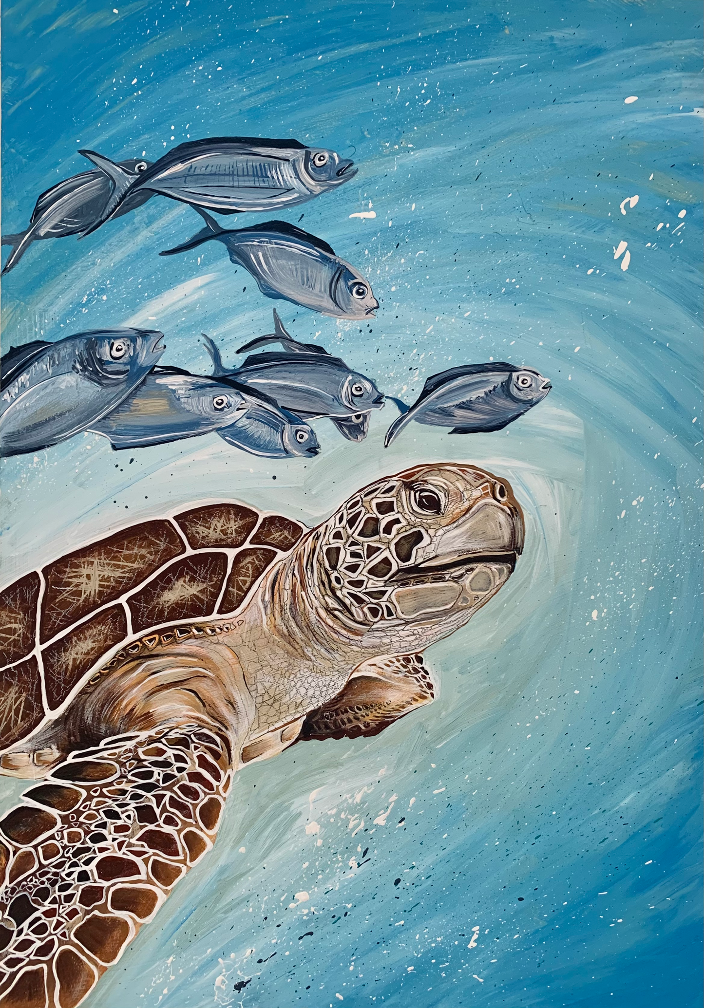 Sea Turtle with Silver Fish, acrylic on board. Size: 61cm x 44cm