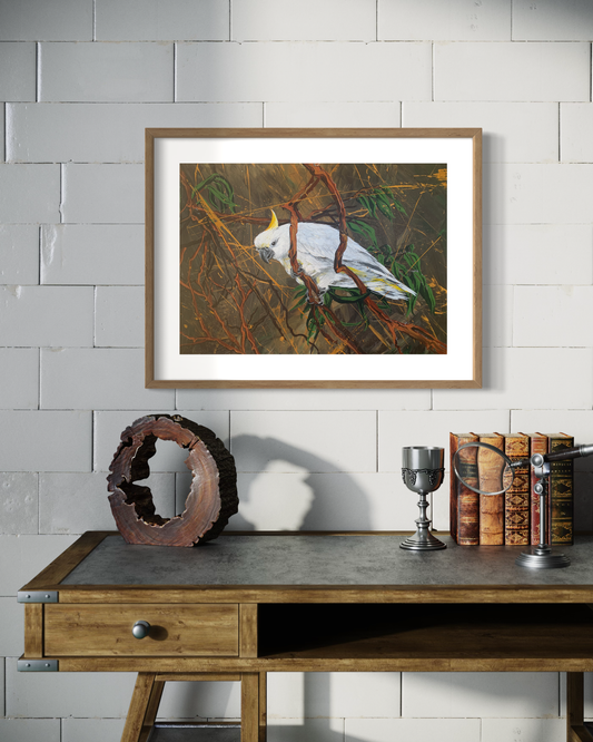 Sulphur-Crested Cockatoo in Bushland, acrylic on art paper, size (unframed): 30 x 42cm, A3