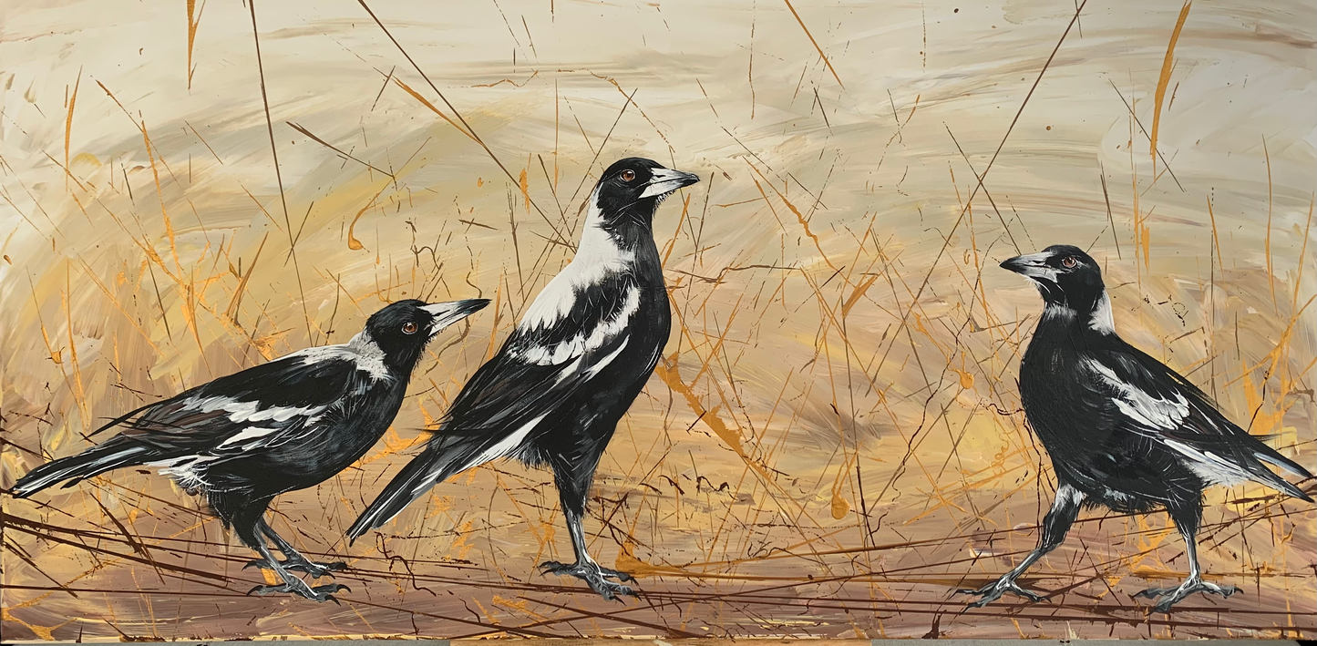 SOLD - Struttin' their Stuff, Panorama of Native Australian Magpies. Acrylic on canvas. Size 50cm x 120cm