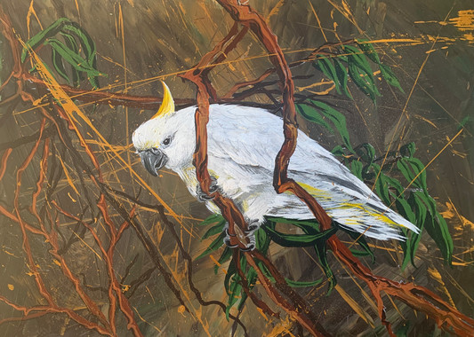 Sulphur-Crested Cockatoo in Bushland, acrylic on art paper, size (unframed): 30 x 42cm, A3