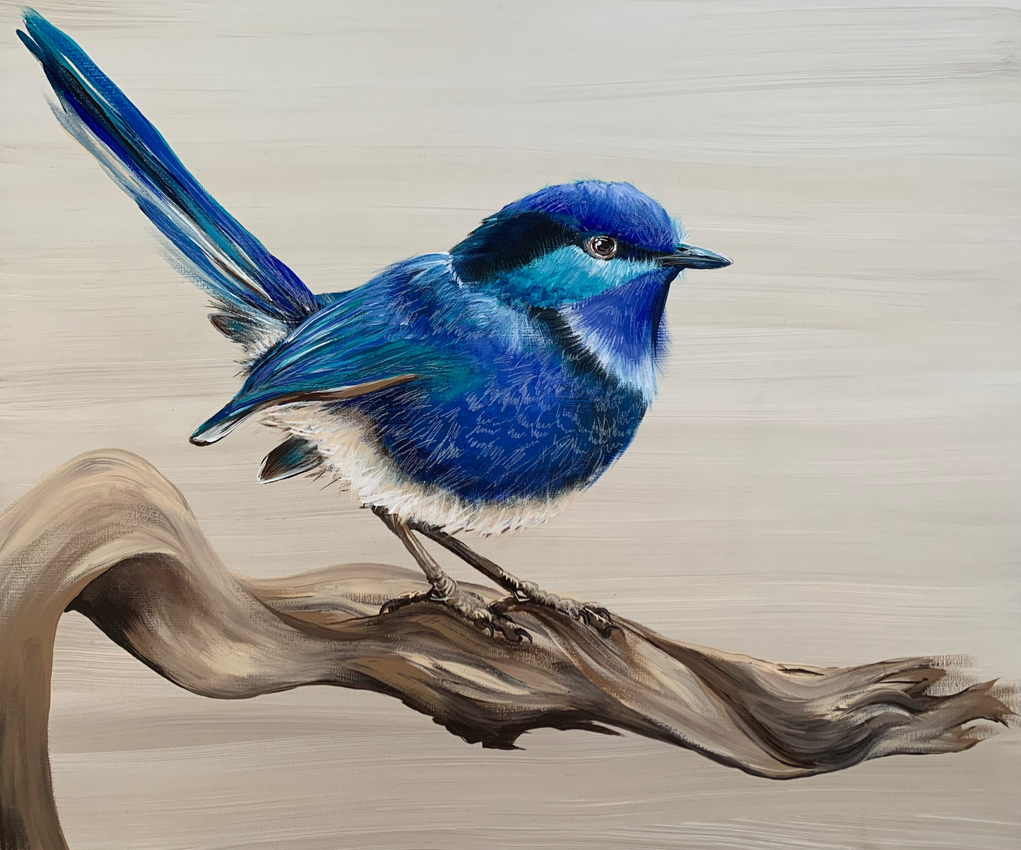 SOLD "The Male Splendid Fairy Wren" acrylic on canvas