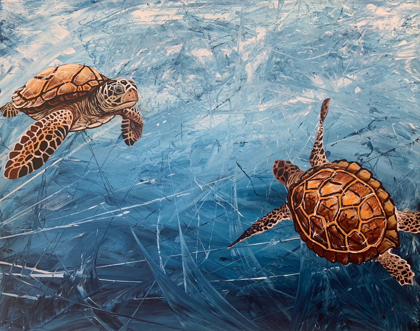 Turtle Time 2 - acrylic on canvas, Size: 40.5cm x 51cm