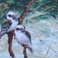 SOLD - Twin Baby Kookaburras, Acrylic on canvas. Size 61cm x 76cm