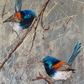 *SOLD* Variegated Fairy Wrens on Silver Background, acrylic on canvas. Size: 76cm x 61cm